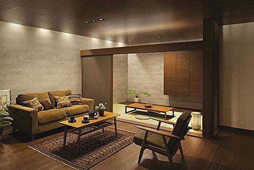 Amazon.co.jp: 大光電機（DAIKO） ダウンライト LED 8.5W